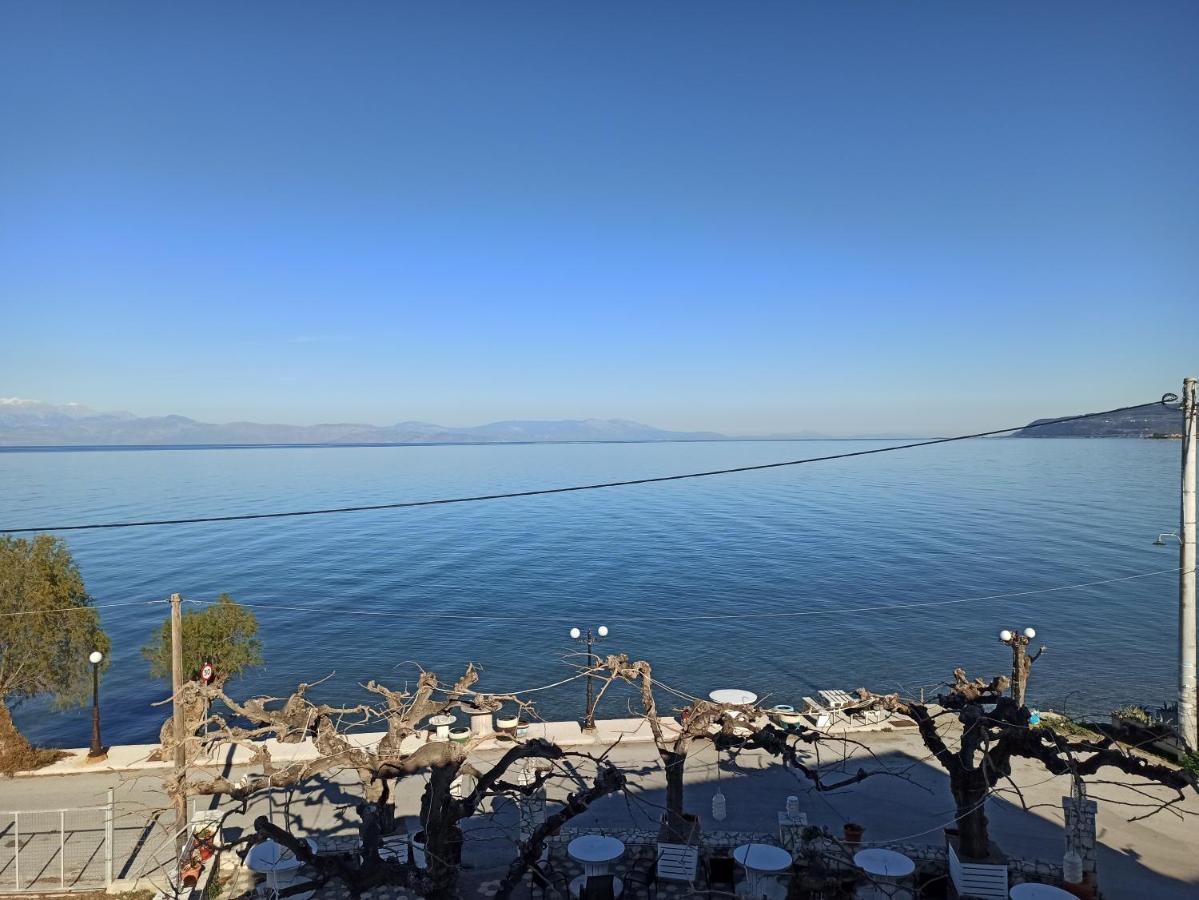 Panorama Hotel - Restaurant ディアコプト エクステリア 写真